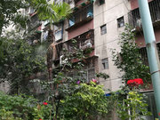 白果林小区图片