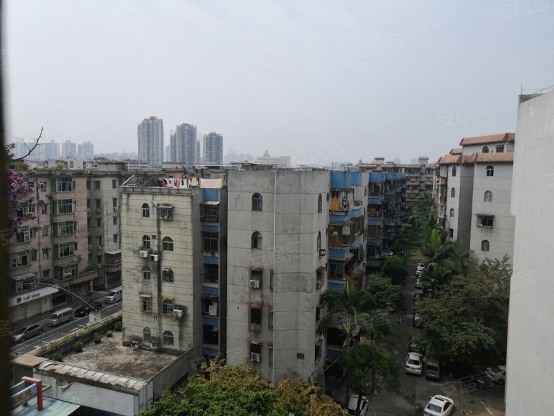 花园新村(东城)