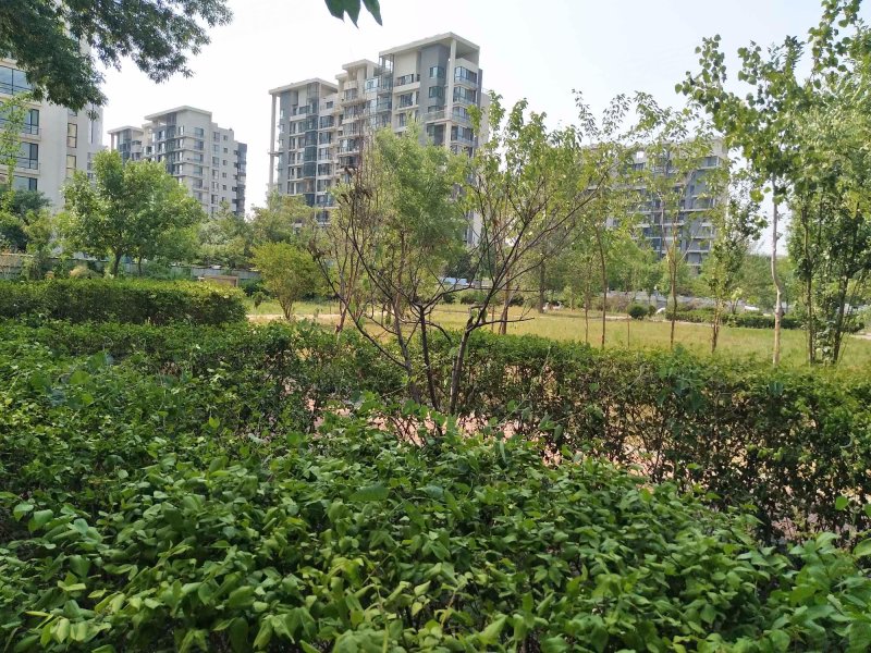 柏丽花园,卫国道151号-天津柏丽花园二手房,租房,房价-天津安居客