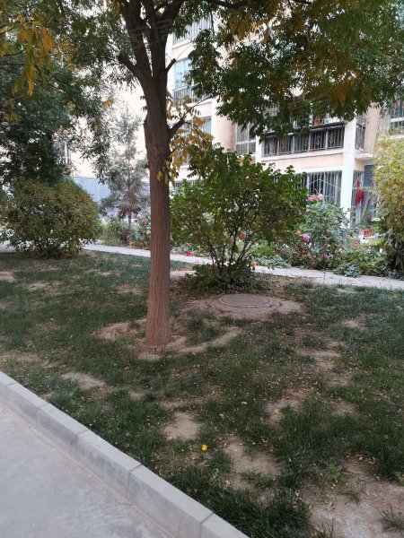 银馨家园南区,长安路59号-白银银馨家园南区二手房,租房,房价-白银