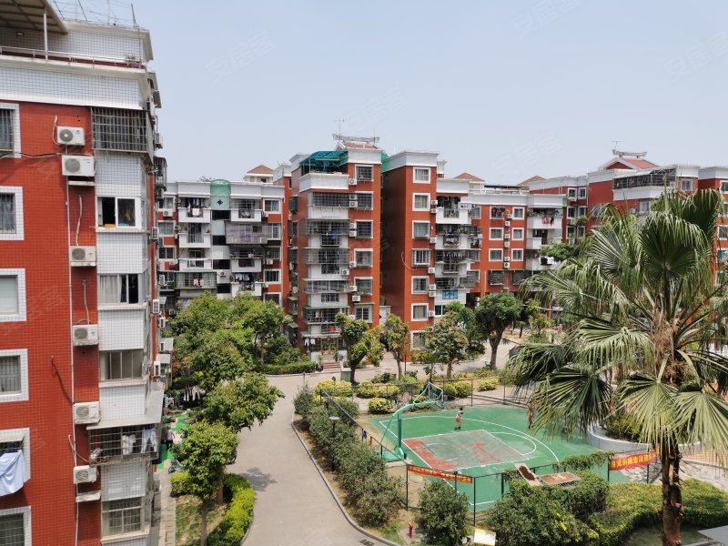 芙蓉苑,嘉园路41,207-273,277-317号-厦门芙蓉苑二手房,租房,房价