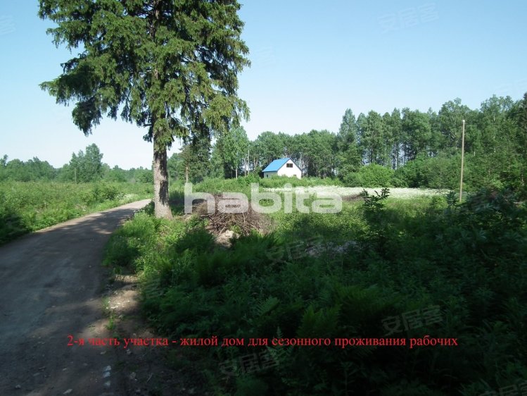 俄罗斯约¥684万RussiaVyborgViborg, Leninrad oblastLand出售二手房土地图片