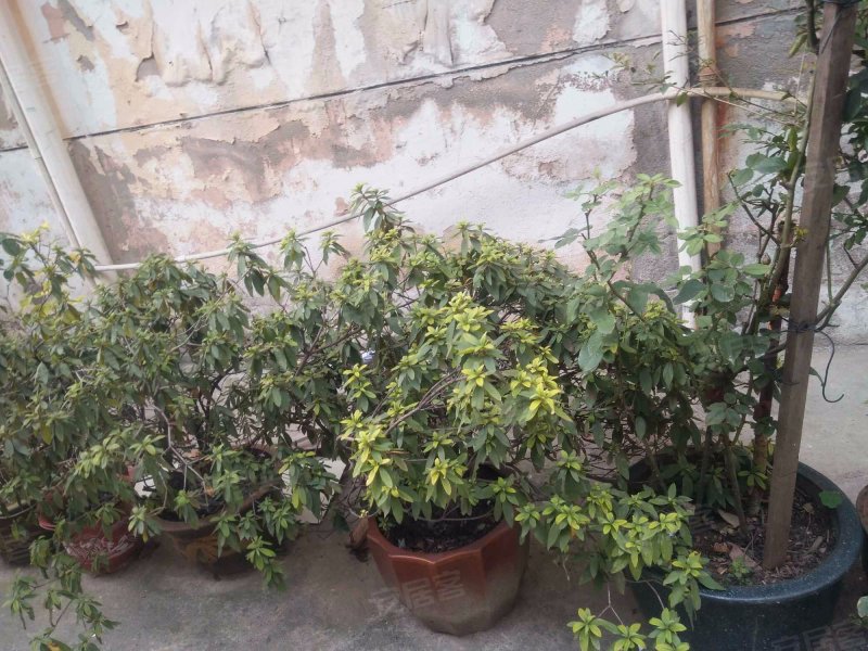 虹梅路2998弄小区 