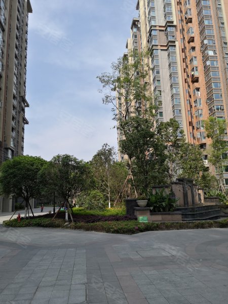 南城都汇汇彩园,和盛东街77号-成都南城都汇汇彩园二手房,租房,房价