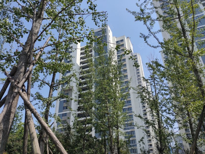 灵珑湾,海王路288号-青岛灵珑湾二手房,租房,房价-青岛安居客