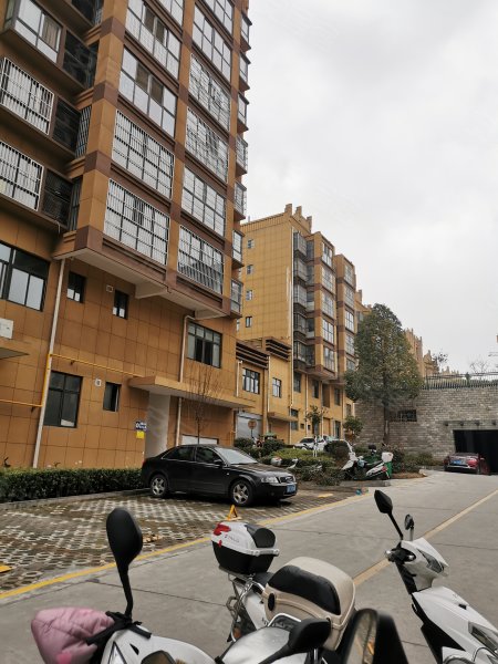 江南壹品南郡,朝阳巷,近金堂西路-安康江南壹品南郡二手房,租房,房价
