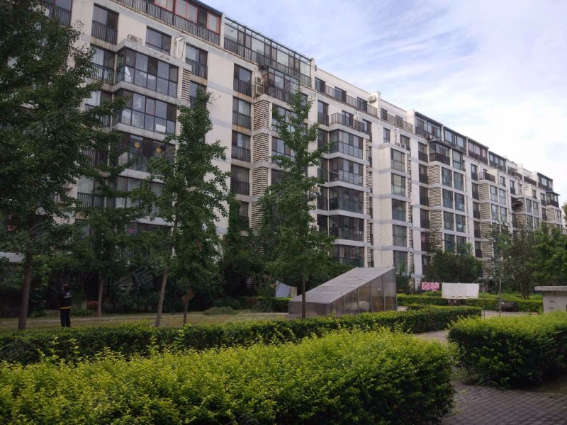 柏林爱乐(三期)