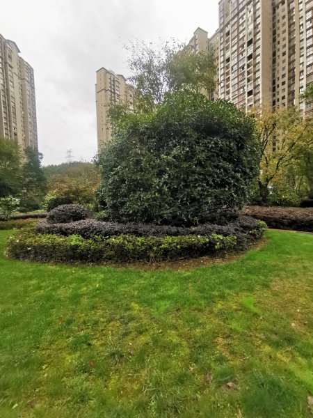 圣城华府御林苑,平庄大道201号-遵义圣城华府御林苑二手房,租房,房价