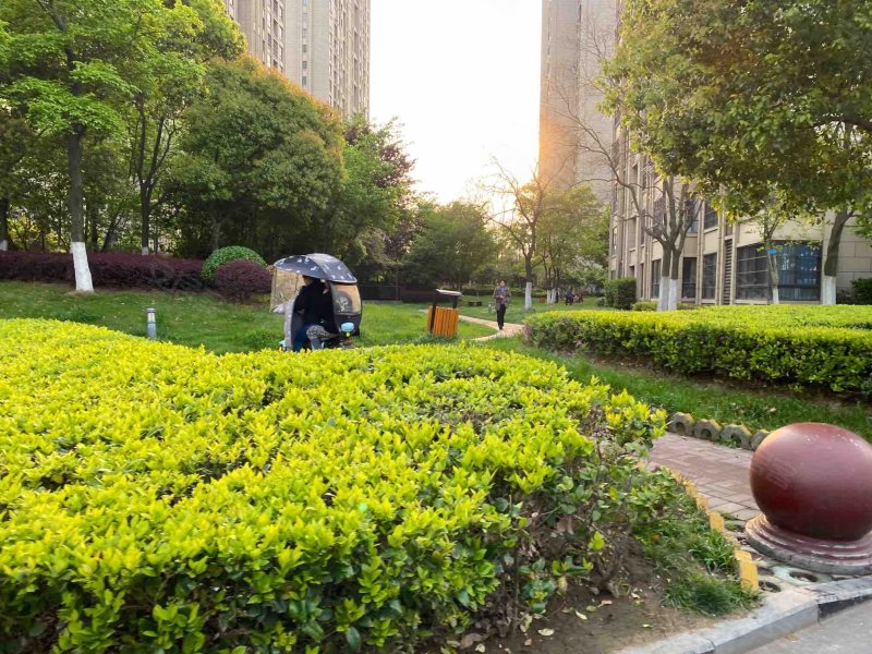 海亮兰郡花园,董铺路86号-合肥海亮兰郡花园二手房,租房,房价-合肥
