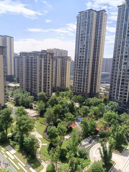 远达盛景,西苑街-自贡远达盛景二手房,租房,房价-自贡安居客