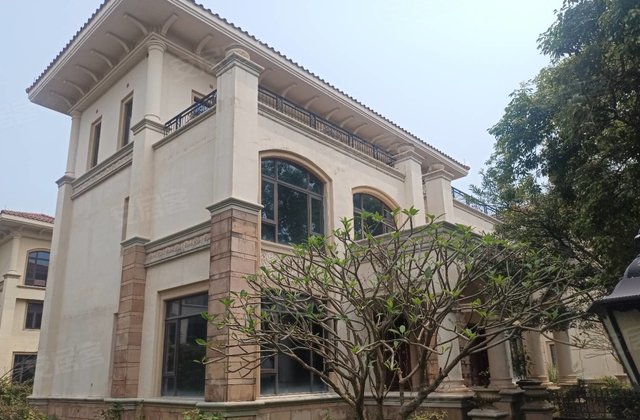 恒大御景湾8室3厅290㎡130万二手房图片