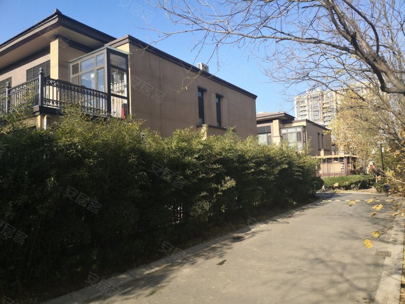 合景领峰(别墅)