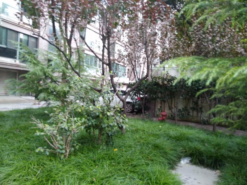 金鼎公寓(浦东) 