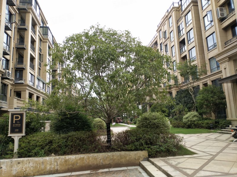 中梁首府,凯胜路-衢州中梁首府二手房,租房,房价-衢州安居客