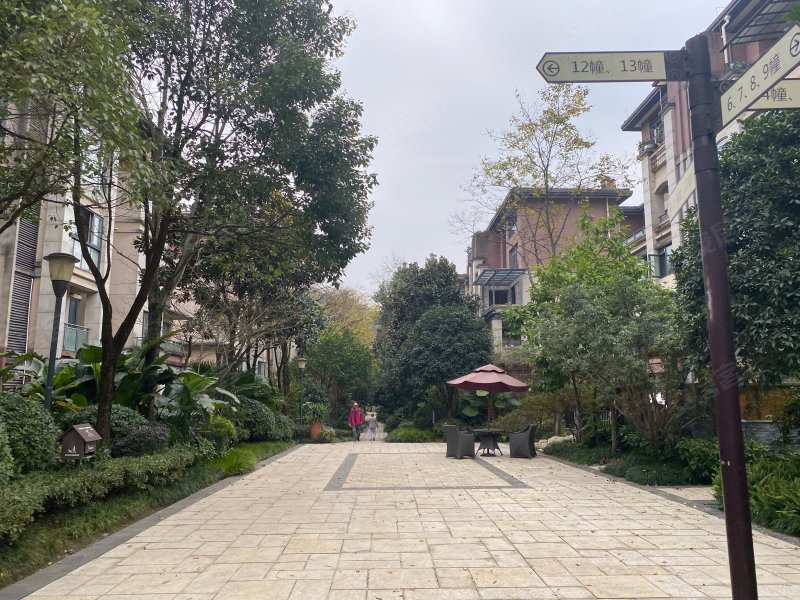 金隅大成南山郡汀澜岸,向黄路668号-重庆金隅大成南山郡汀澜岸二手房