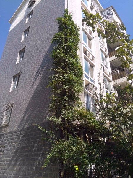 南山别院(二期),327省道-济南南山别院(二期)二手房,租房,房价-济南