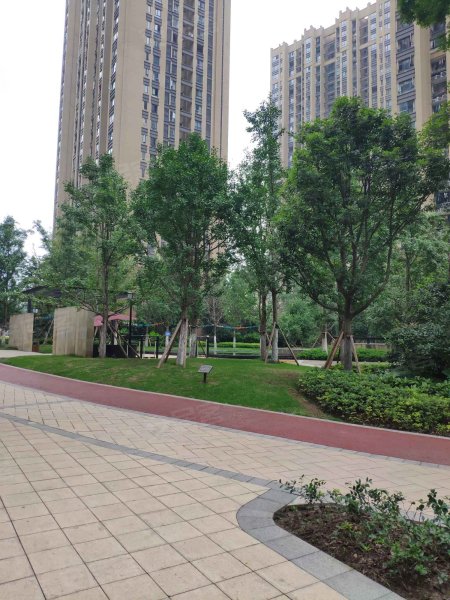 远洋城(二期),经纬大道1305号-重庆远洋城(二期)二手房,租房,房价