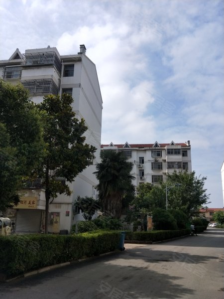 警苑小区,永兴路209号-枣庄警苑小区二手房,租房,房价-枣庄安居客