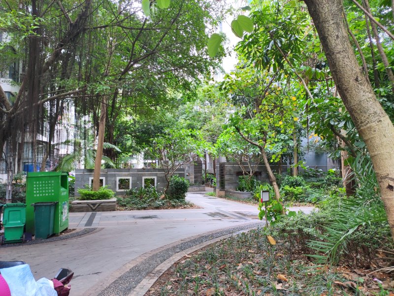 八桂绿城云顶印象