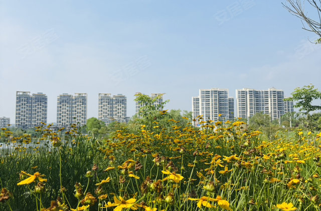 门户壹号山河院子4室2厅140.93㎡42.3万二手房图片