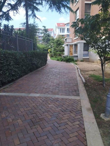 金色国际公寓,东海一路25号-青岛金色国际公寓二手房,租房,房价-青岛