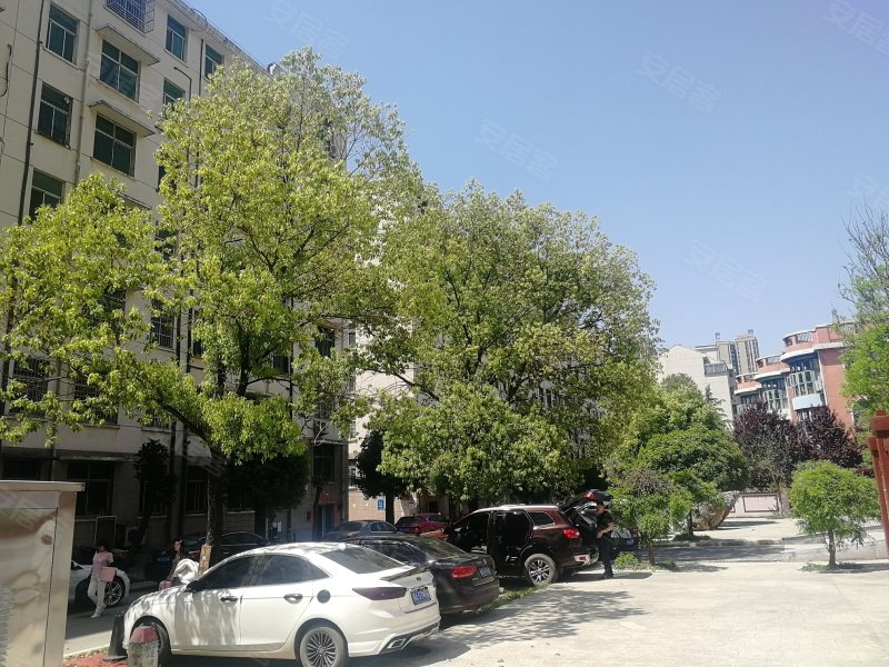 海景花园(ab区),吴中街-武汉海景花园(ab区)二手房,租房,房价-武汉