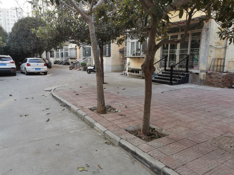 丰泽园(解放),政二街,近人民路-焦作丰泽园(解放)二手房,租房,房价