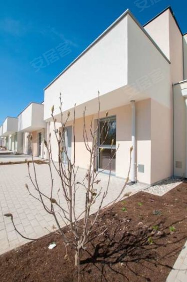 奥地利约¥382万AustriaGuntramsdorfHouse出售二手房公寓图片