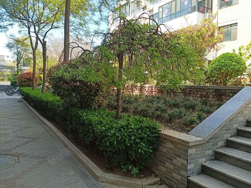 山水文园,龙山西街-聊城山水文园二手房,租房,房价-聊城安居客