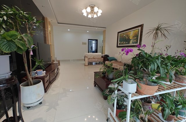 悦园小区3室2厅157㎡82.8万二手房图片