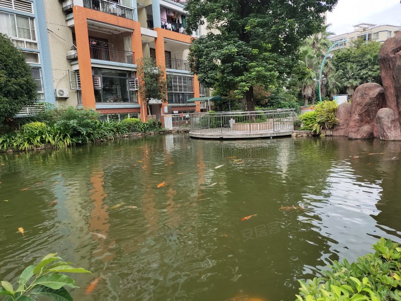 山水华府,工业西路26号-韶关山水华府二手房,租房,房价-韶关安居客