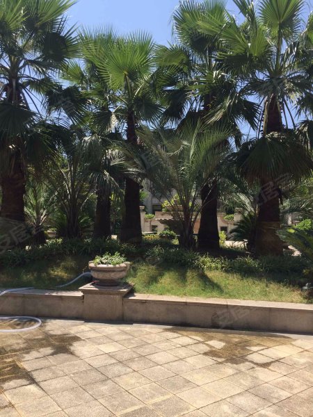 棕榈湾,东莱路189号-金华棕榈湾二手房,租房,房价-金华安居客