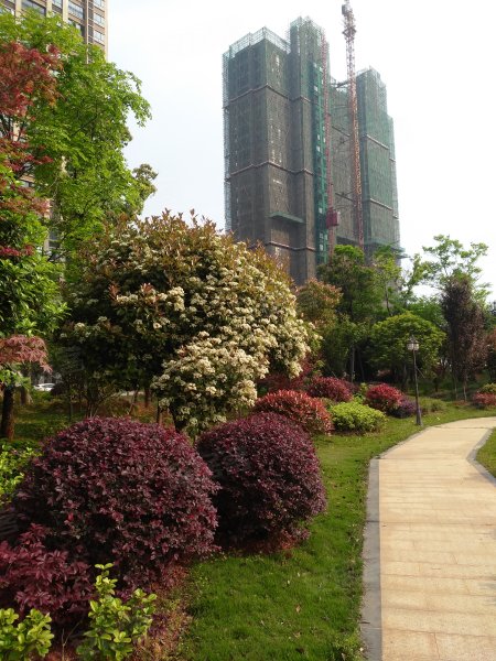 藏龙府邸,青龙路,近锦龙路-咸宁藏龙府邸二手房,租房,房价-咸宁安居客