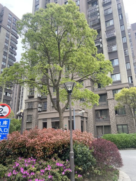 紫薇茗庭,王家厍路55弄-上海紫薇茗庭二手房,租房,房价-上海安居客