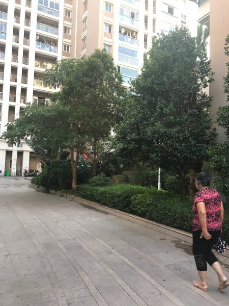 盛世天骄,丰泽街20号-泉州盛世天骄二手房,租房,房价-泉州安居客