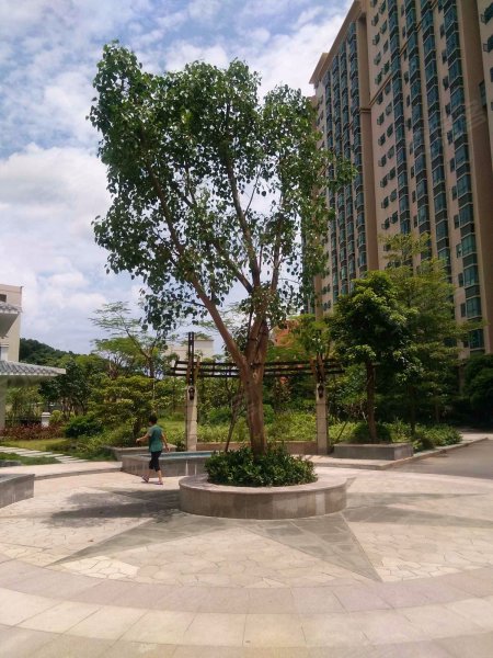 鹤洲豪庭,北七路-深圳鹤洲豪庭二手房,租房,房价-深圳安居客