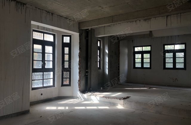 新湖海德公园(别墅)5室3厅230㎡1580万二手房图片