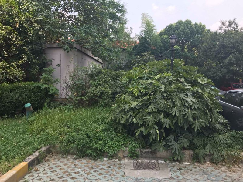 建华大厦,大渡河路652弄1-3号-上海建华大厦二手房,租房,房价-上海