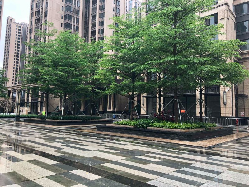 时代尚品,西粤南路98号-茂名时代尚品二手房,租房,房价-茂名安居客