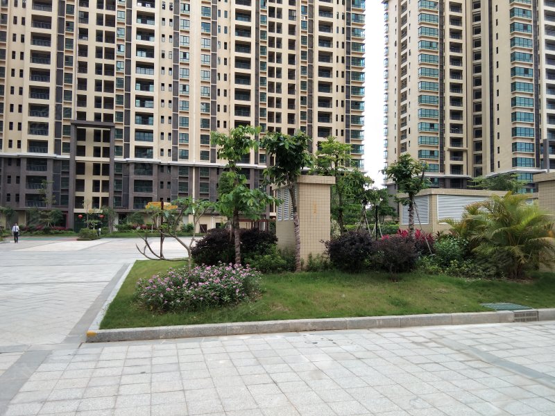 芹洋花园,客商大道东-梅州芹洋花园二手房,租房,房价-梅州安居客