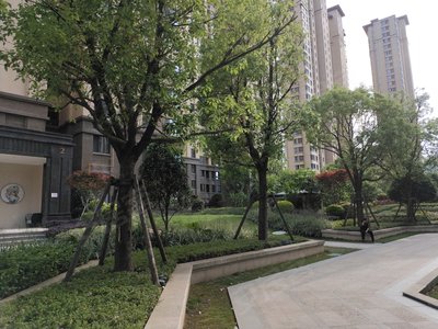 德兴世茂印象公园里,龙腾南路,近东肖南路 - 龙岩德兴世茂印象公园里