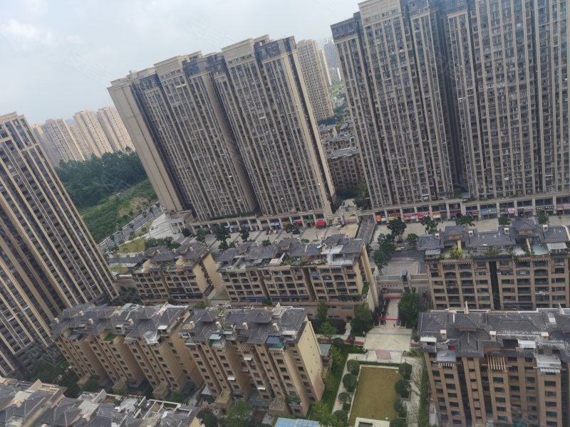 金科公园王府,大千路,近玉屏街-内江金科公园王府二手房,租房,房价