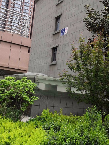 湖西景苑(a区),建华西路,近衡山路-枣庄湖西景苑(a区)二手房,租房