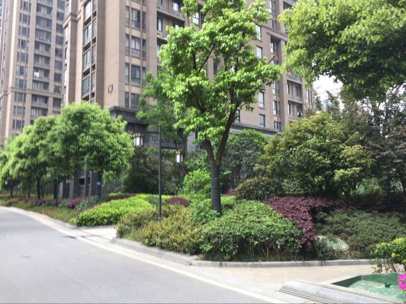 大溪地天悦轩,怀宁路-合肥大溪地天悦轩二手房,租房,房价-合肥安居客