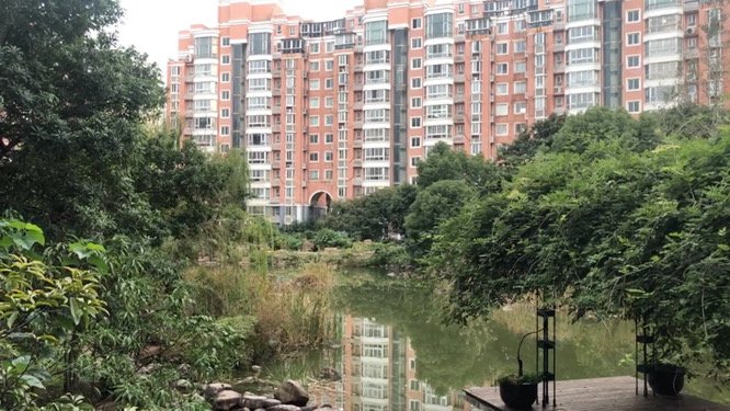 文化佳园(公寓住宅),国权东路99弄-上海文化佳园(公寓住宅)二手房