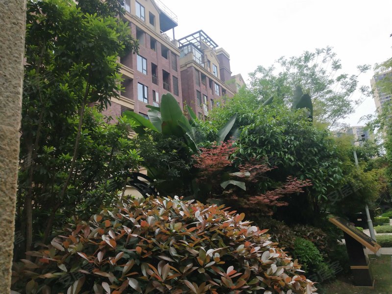 金辉城耀江府(别墅)