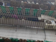 长顺街小区图片