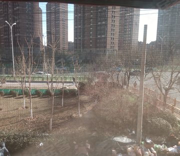 中国铁建花语天著