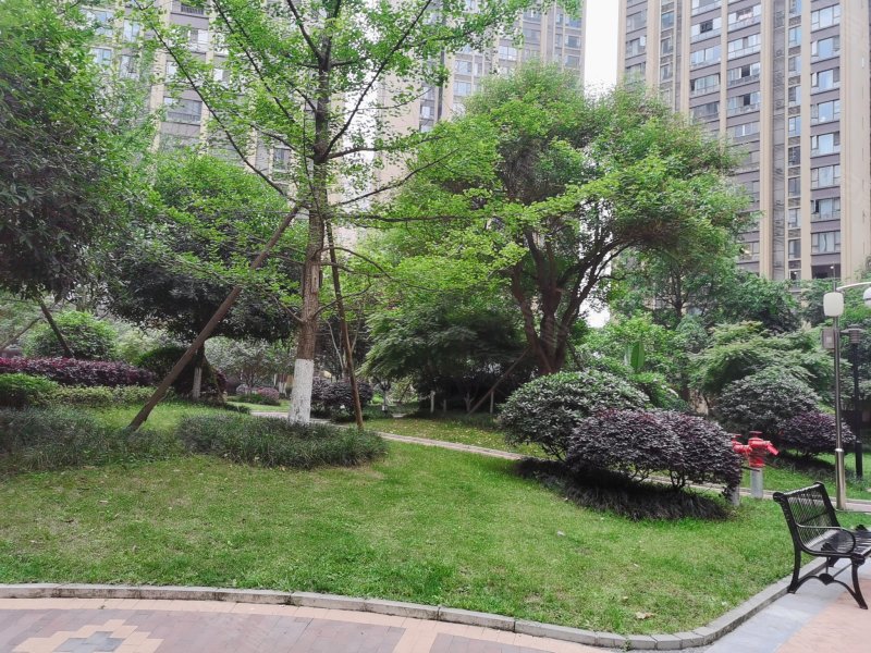 鼎犀名城,国宁东路666号-成都鼎犀名城二手房,租房,房价-成都安居客