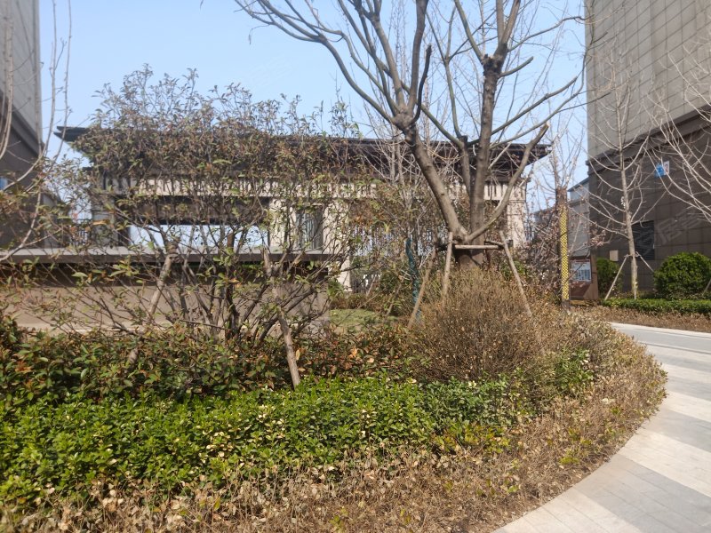 中骏柏景湾,世纪大道-济南中骏柏景湾二手房,租房,房价-济南安居客